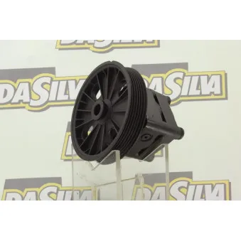 Pompe hydraulique, direction DA SILVA DP3279