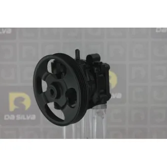 Pompe hydraulique, direction DA SILVA DP3281