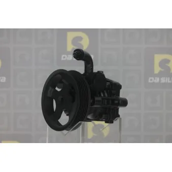 Pompe hydraulique, direction DA SILVA DP3316
