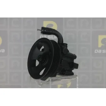 Pompe hydraulique, direction DA SILVA DP3323