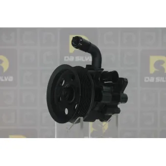Pompe hydraulique, direction DA SILVA DP3325