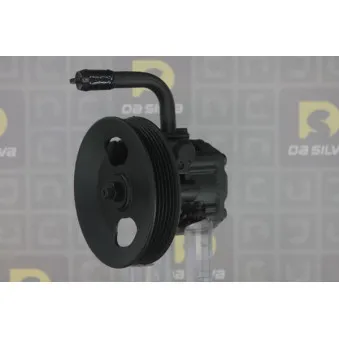 Pompe hydraulique, direction DA SILVA DP3346