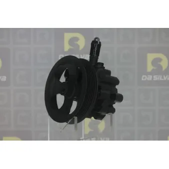 Pompe hydraulique, direction DA SILVA DP3347