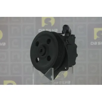 Pompe hydraulique, direction DA SILVA DP3348
