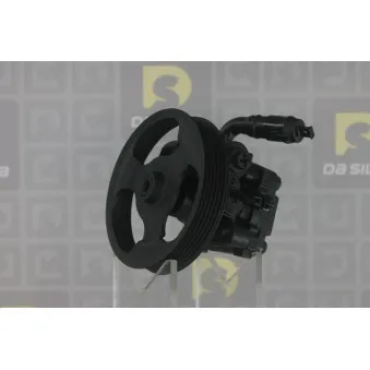 Pompe hydraulique, direction DA SILVA DP3353