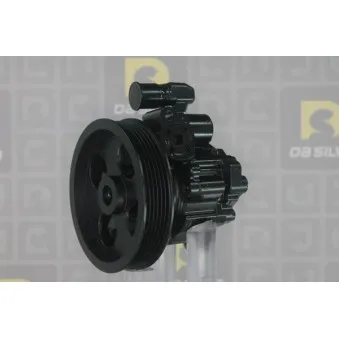 Pompe hydraulique, direction DA SILVA DP3361