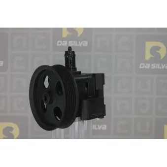 Pompe hydraulique, direction DA SILVA DP3369
