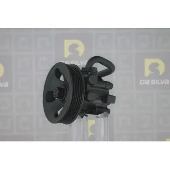 Pompe hydraulique, direction DA SILVA DP3386