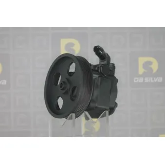 Pompe hydraulique, direction DA SILVA DP3400