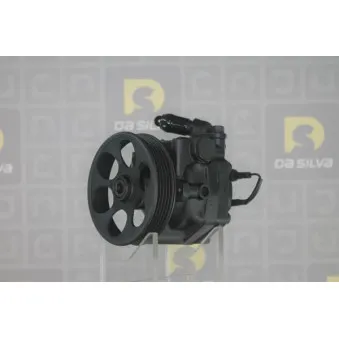 Pompe hydraulique, direction DA SILVA DP3402