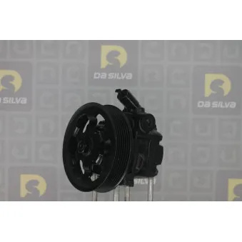Pompe hydraulique, direction DA SILVA DP3413