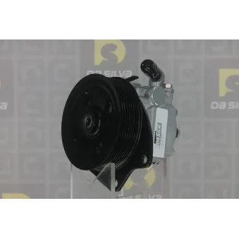 Pompe hydraulique, direction DA SILVA DP3415