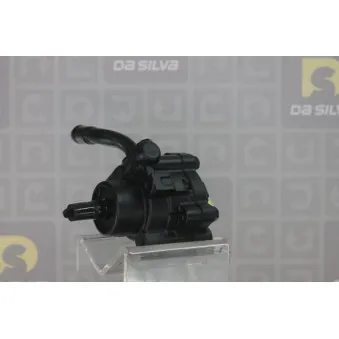 Pompe hydraulique, direction DA SILVA DP3416