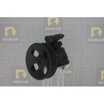 Pompe hydraulique, direction DA SILVA DP3421