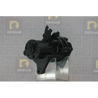 Pompe hydraulique, direction DA SILVA DP3429