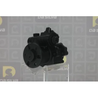Pompe hydraulique, direction DA SILVA DP3430