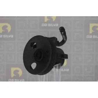 Pompe hydraulique, direction DA SILVA DP3434
