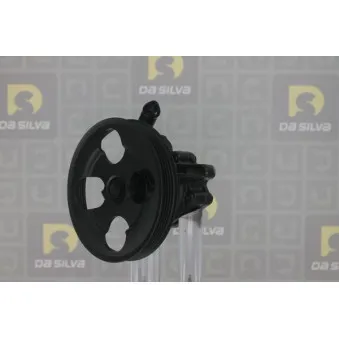 Pompe hydraulique, direction DA SILVA DP3435