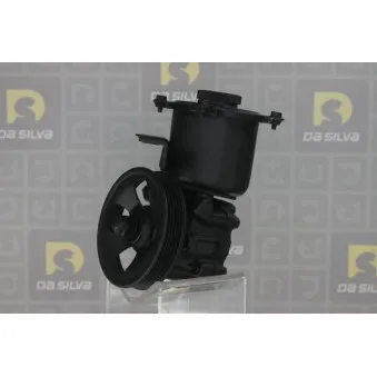 Pompe hydraulique, direction DA SILVA DP3457