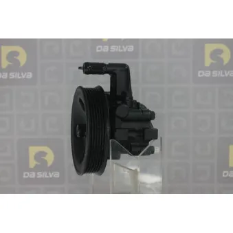 Pompe hydraulique, direction DA SILVA DP3464