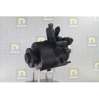 Pompe hydraulique, direction DA SILVA DP3478