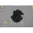 Pompe hydraulique, direction DA SILVA DP3484 - Visuel 3