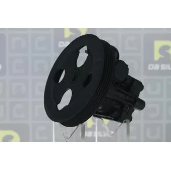 Pompe hydraulique, direction DA SILVA DP3493