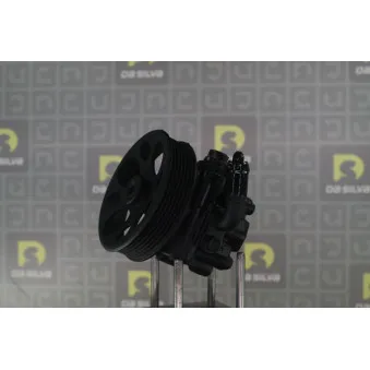 Pompe hydraulique, direction DA SILVA DP3538