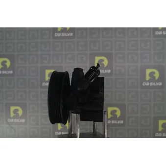 Pompe hydraulique, direction DA SILVA DP3539