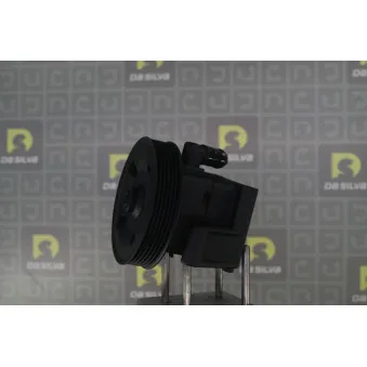 Pompe hydraulique, direction DA SILVA DP3543