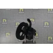 Pompe hydraulique, direction DA SILVA DP3548 - Visuel 2