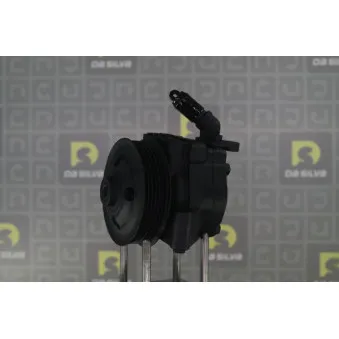Pompe hydraulique, direction DA SILVA DP3555
