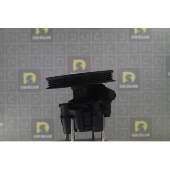 Pompe hydraulique, direction DA SILVA DP3556