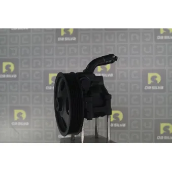 Pompe hydraulique, direction DA SILVA DP3560