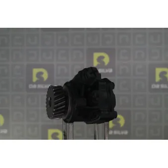 Pompe hydraulique, direction DA SILVA DP3565