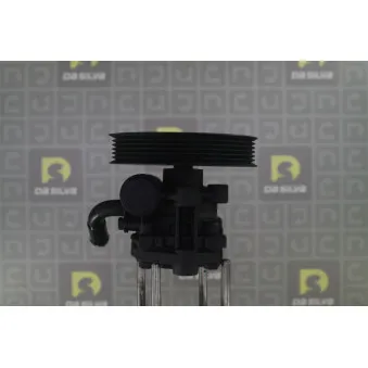 Pompe hydraulique, direction DA SILVA DP3595