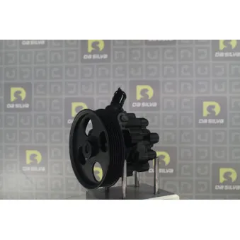 Pompe hydraulique, direction DA SILVA DP3612