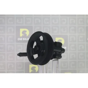 Pompe hydraulique, direction DA SILVA DP3613
