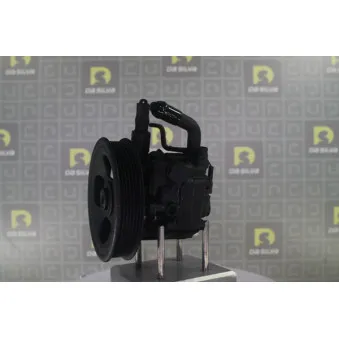 Pompe hydraulique, direction DA SILVA DP3625