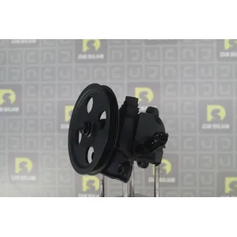 Pompe hydraulique, direction DA SILVA DP3643