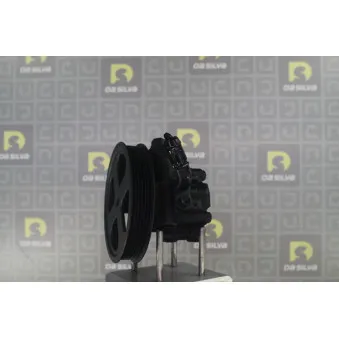 Pompe hydraulique, direction DA SILVA DP3647