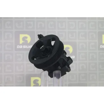 Pompe hydraulique, direction DA SILVA DP3648