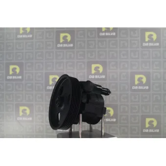 Pompe hydraulique, direction DA SILVA DP3655