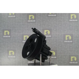 Pompe hydraulique, direction DA SILVA DP3660