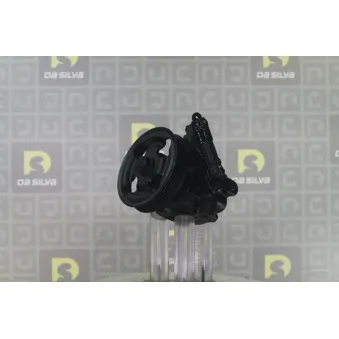 Pompe hydraulique, direction DA SILVA DP3695