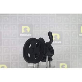 Pompe hydraulique, direction DA SILVA DP3696