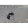 Pompe hydraulique, direction DA SILVA DP5003 - Visuel 3