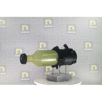 Pompe hydraulique, direction DA SILVA DP5031
