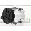 Compresseur, climatisation DA SILVA FC3036 - Visuel 1