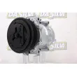 Compresseur, climatisation DA SILVA FC3127 - Visuel 1